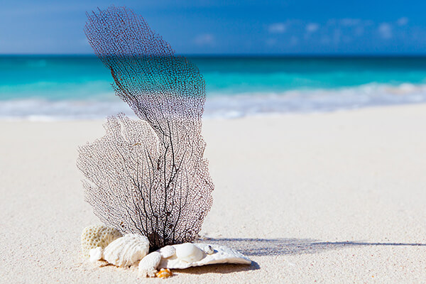 SAND BLASTERING